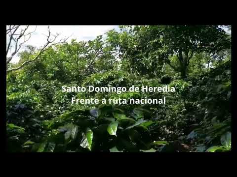 Imagen de Venta de Lotes y Terrenos en Santo tomás - Santo domingo Santo Tomás - HEREDIA
