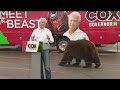 John Cox's 'Meet the Beast' tour stop in San Diego includes a live bear