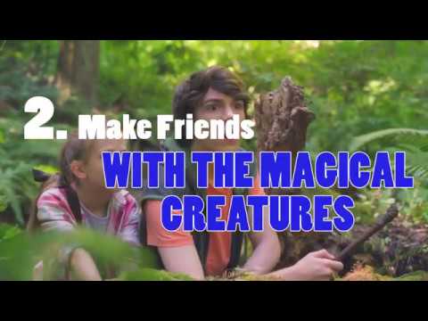 5 Rules For Playing A Fairy's Game