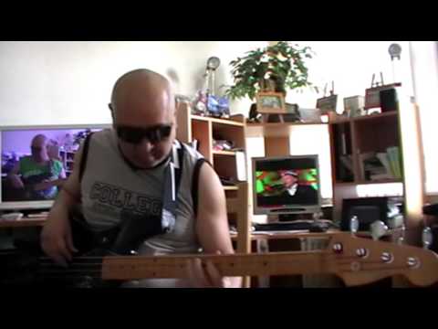 Steve Winwood, Sheila E , Orianthi  Everybody's Everything   Carlos Santana Basscover Bob Roha