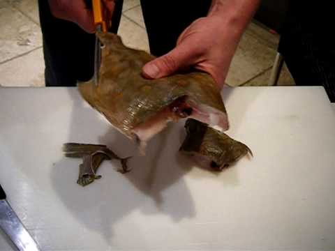 Passionate About Fish - How to 'Pocket' a plaice