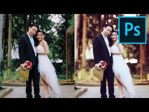 Photoshop for Beginners FREE COURSE