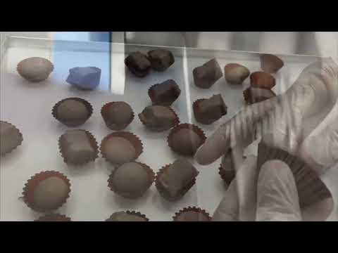 ChocolateProduction, The flavour of tasty