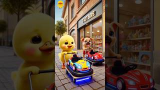 Perfect Pals! Duckling Buys a Bumper Car, Makes Puppy Haul It Home, Plays Happily with the Boy