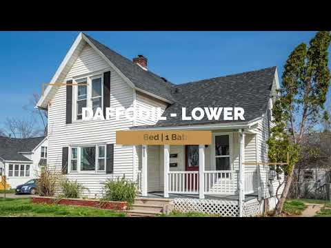 Daffodil - Video 2 of 2