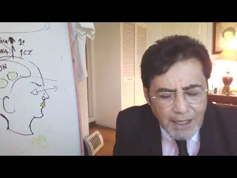 SEMESTRE  2 APRECIACION ARTISTICA  SECION 5 PRIMERA PARTE