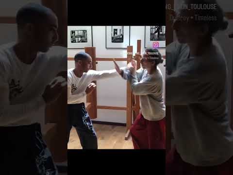 Wing Chun MASTER Didier Beddar FLOW