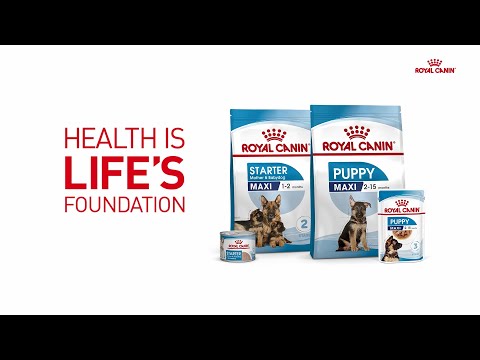 Puppy Food for a Healthy Life | Start Of Life with Royal Canin