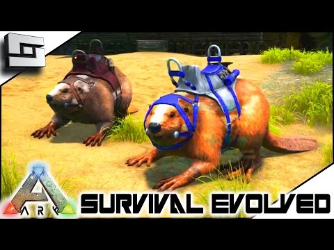 ARK: Survival Evolved - GIANT BEAVER/CASTOROIDES TAMING! S3E53 ( Gameplay )