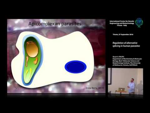 S. Ralph - Regulation of alternative splicing in human parasites