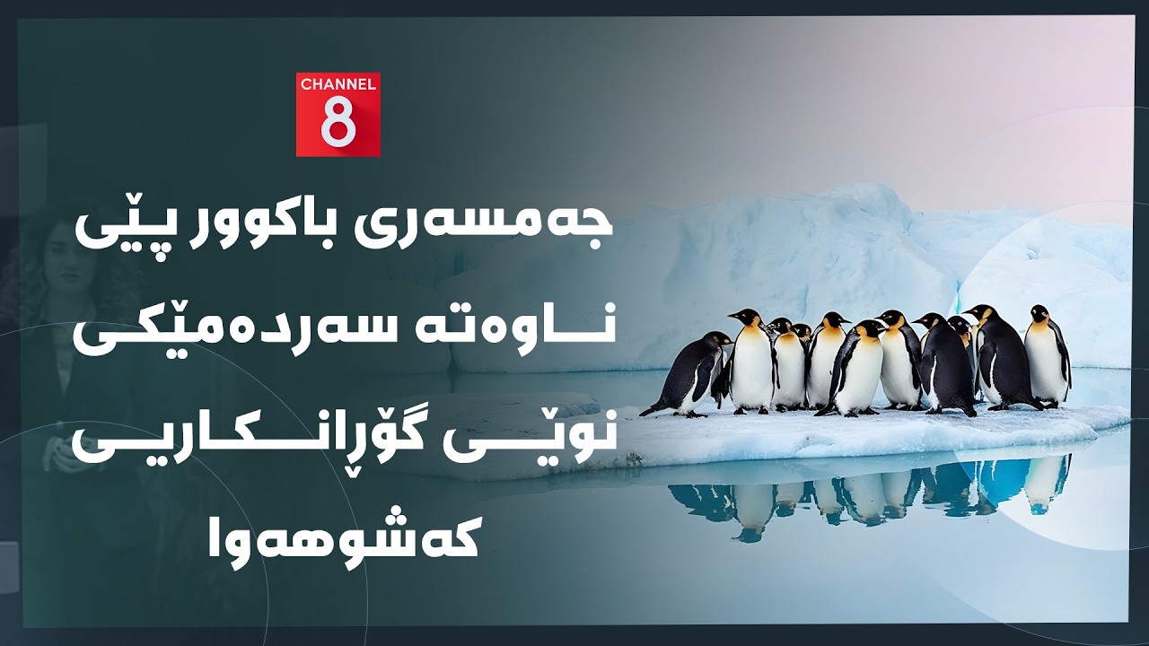 ڤیدیۆ | دەنگی زەوی - جەمسەری باکوور پێی ناوەتە سەردەمێکی نوێی گۆڕانکاریی کەشوهەوا