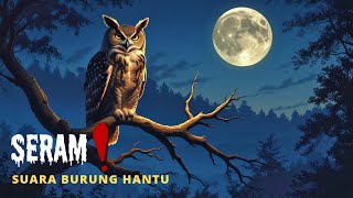 Download lagu Suara Burung Hantu mp3