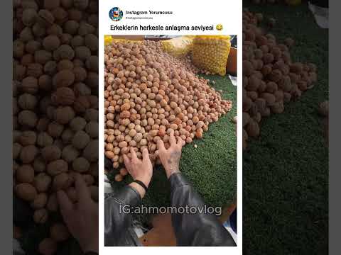 Erkeklerin herkesle anlaşma seviyesi 😂 @Ahmomotovlog