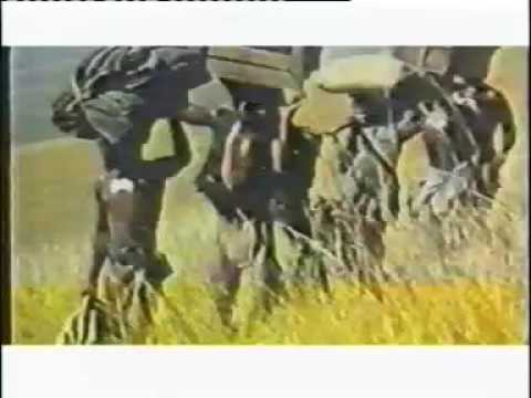 Orits Williki - Fight The Fire (Video)