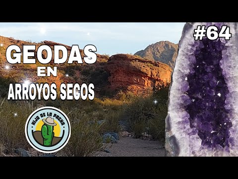 AMATISTAS, GEODAS Y CRISTALES. MUCHOS EN UN ARROYO SECO VOLCÁNICO. AVENTURA CON HIJO DE LA PACHA #64