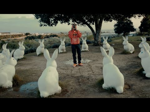 BlueFlag HSG - Real Vibes (Official Music Video)  || Dir. by @Voice2HardMusicFilmProductions