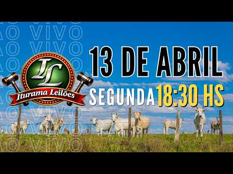 Iturama Leilões - Iturama  MG - 13 de  Abril 2026
