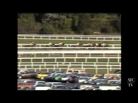 1987 All Aged Stakes - Campaign King