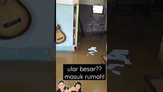 Download lagu ular besar kaya anconda masuk rumah #shorts mp3