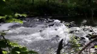 preview picture of video 'Water rushing [Canon EOS 700D Sample Video] ND'