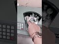 Indian Currency Counting Machine Indian Viral Video Indian Hot Viral Video Indian Pakistan