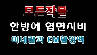 [텃밭농부. 1,058]  봄 여름작물 한방에 미네랄 미생물 공급 #엽면시비
