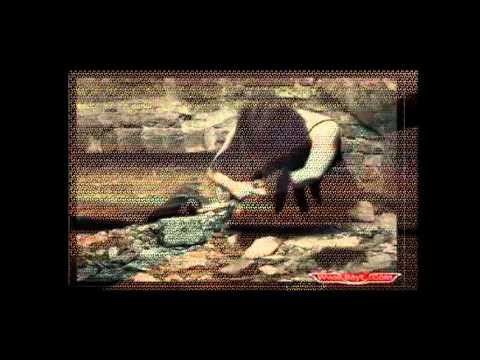 ALI SULTAN TAL EL GHIYEB