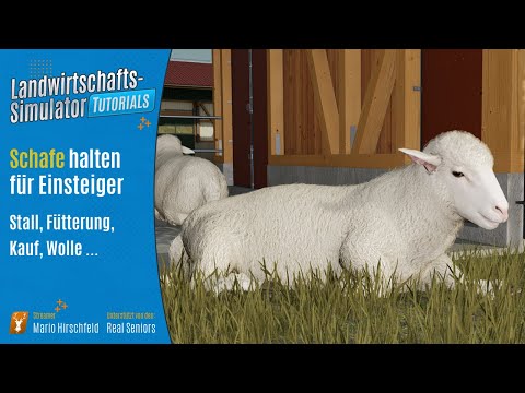, title : 'LS22 Tutorials: Schafe halten // Grundlagen für Einsteiger'