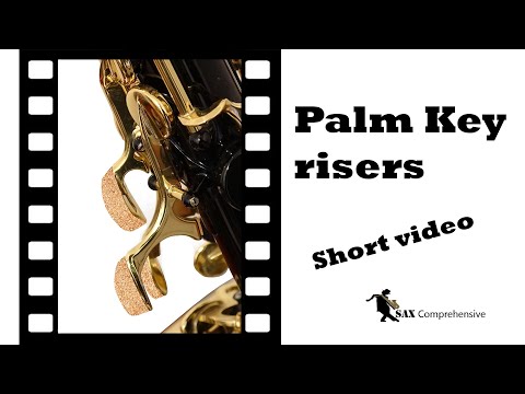 Palm keys risers #Shorts
