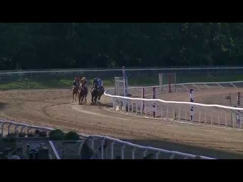 Jägersro Aug 14th 2017 - Parteros Minne (Arabians)