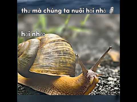thú nuôi hồi nhỏ 😆