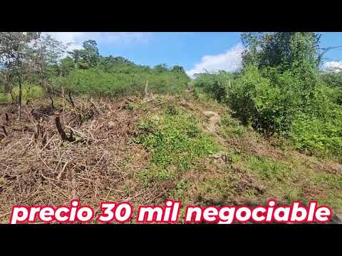 Se vende una manzana y media en canton la cabaña piedras tontas  el paisnal san salvador 