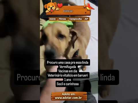 Vídeo de Helena 