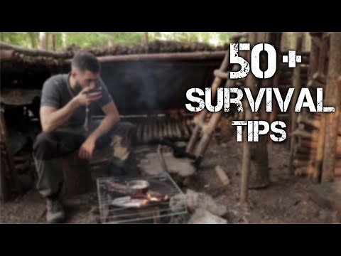 Survive the Wild: 50+ Survival Tips & Bushcraft Skills
