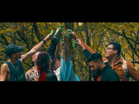 Area 031 - ALBA 🌅