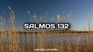 SALMOS 132 (narrado completo)NTV @reflexconvicentearcilalope5407 #biblia #salmos #parati #cortos