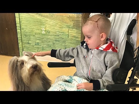 Recovering from Traumatic Brain Injury: Ryan's Story