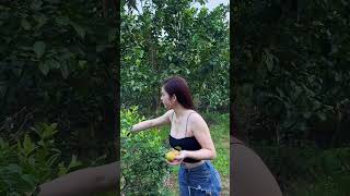 Download lagu #dance #beautiful #beauty #chinesegirl #cute #beautifulgirl #bigo 6 6 5 mp3