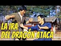 Wu Tang Collection - La Ira Del Dragon Ataca  ( Iron Fisted Eagle Claw)