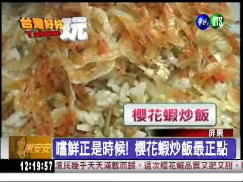 越冷越豐收! 吃櫻花蝦正是時候