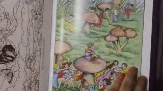 Amazon Haul 6 August 2016 Journals Adult Coloring Books And