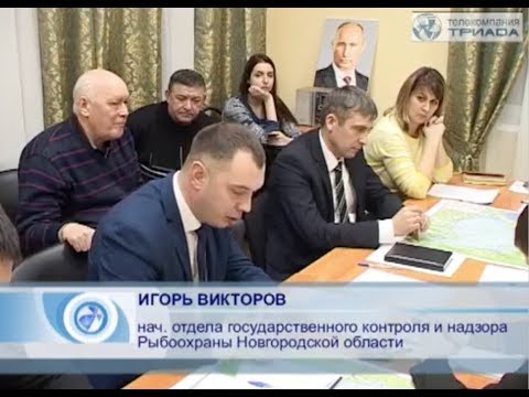 Чиновники заверили защитников озера Ильмень, что причин для паники нет