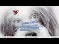Closing To The Shaggy Dog 2006 DVD