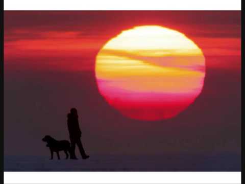 "Ercola ft Daniella Every Word" (by Steven Gray)