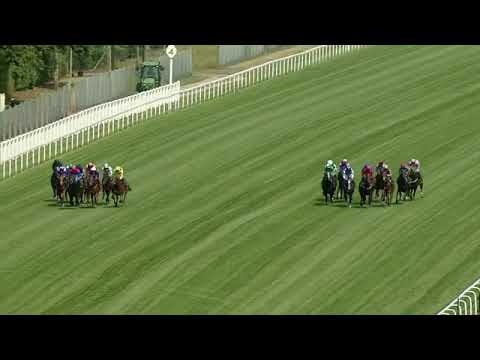 2025 ASCOT UK Gordon Coventry Stakes