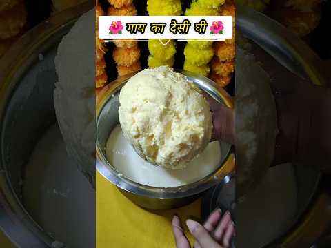 गाय का देसी घी | How to make pure cow ghee at home | #shaanscorner #ghee