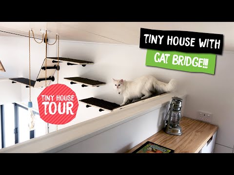 Cyril the CAT FRIENDLY Tiny House - video tour | Build Tiny | Katikati NZ