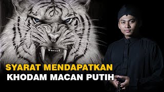 Download lagu Cara Mengisi Khodam Macan Putih Ke Tubuh Secara Praktis Untuk Pendamping mp3