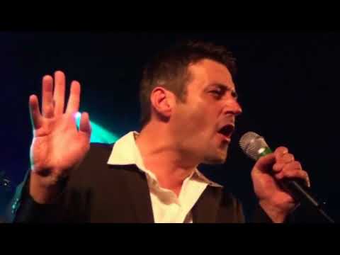 Fresh Fox -Midnight Lady