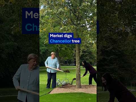 Merkel's Linden: A tree for 16 years in office | DW News